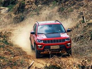 国产 jav,国产Java技术发展与应用全景解析